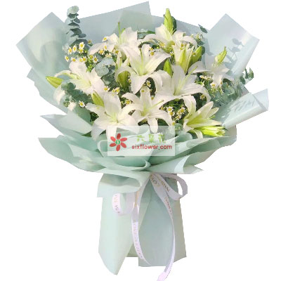肇庆6支白色多头百合,温馨的祝福